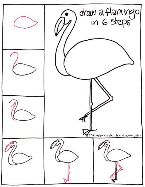 Passo a passo de como desenhar um flamingo