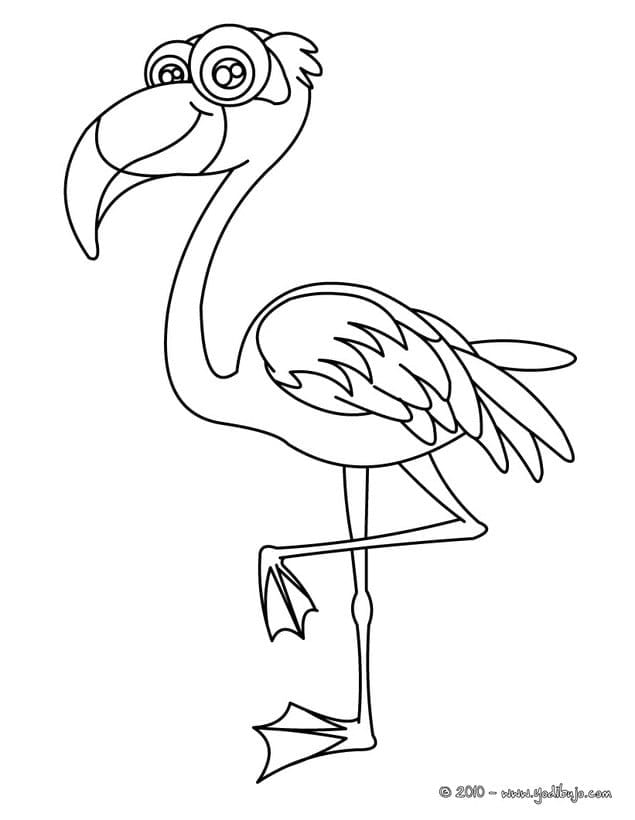 pintar flamingo  criando com apego
