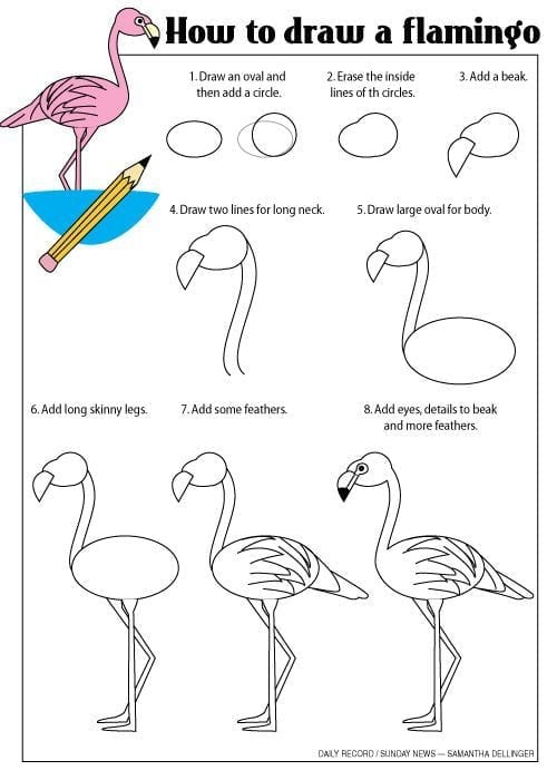 Como fazer o desenho de um flamingo