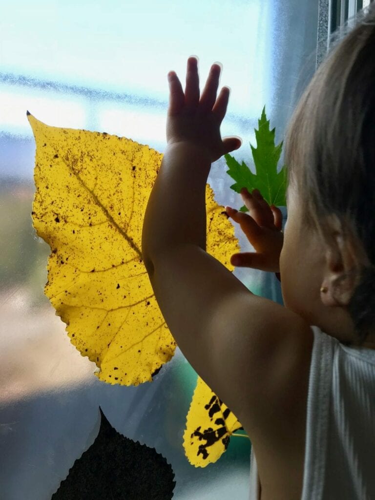 janela de outono atividades para criancas 03