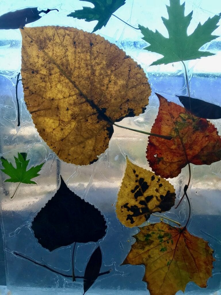 janela de outono atividades para criancas 15