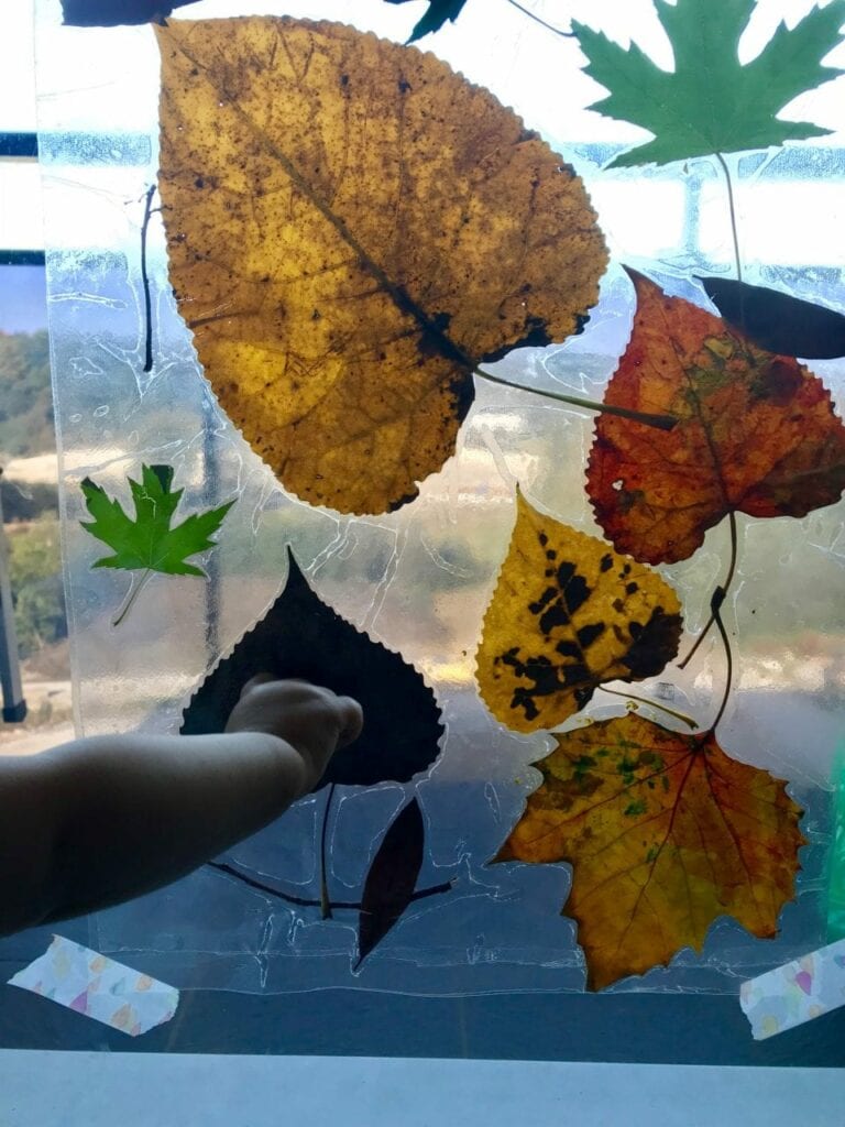 janela de outono atividades para criancas 16