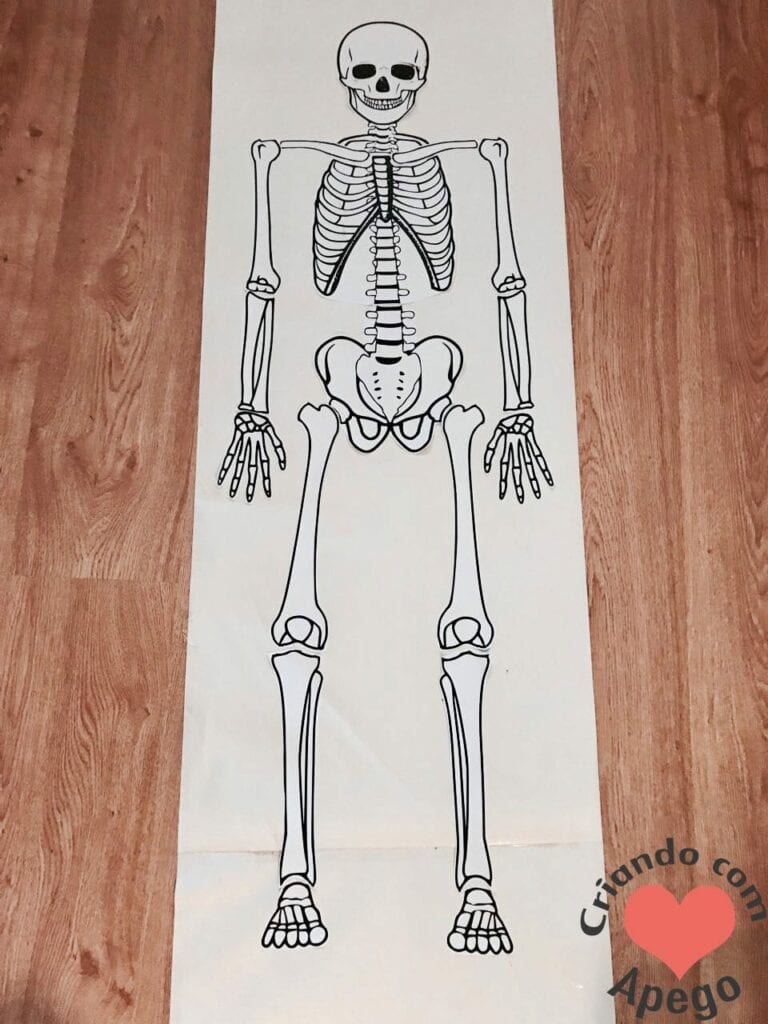 esqueleto-humano-completo-atividades-para-imprimir-04