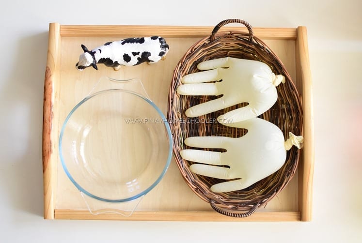 atividades sobre animais montessori tirar leite da vaca 01