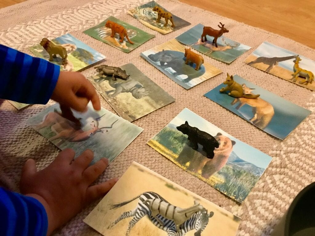 Atividades sobre animais selvagens para educacao infantil 05