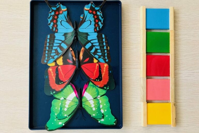 atividade-com-borboleta-pareamento-de-cores-01-770x515