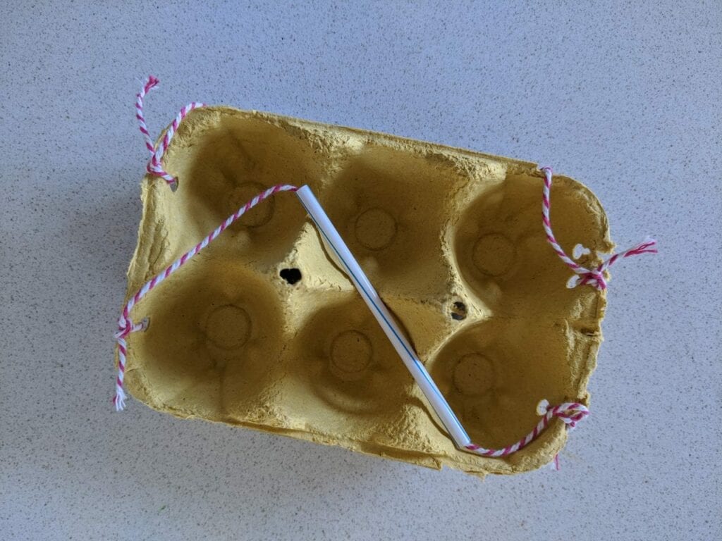 bolsa reciclada com caixa de ovos 02