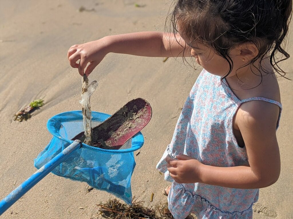 atividades para fazer na praia - recolher lixo