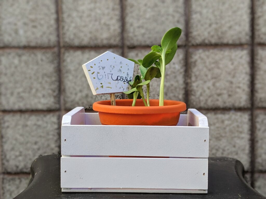 kit de jardinagem infantil