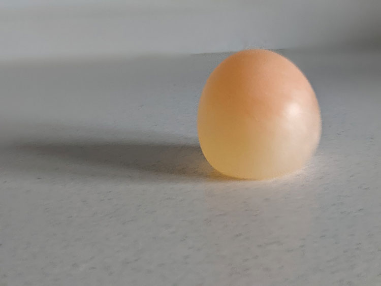 Experiência do ovo que pula