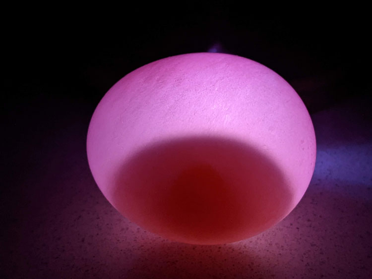 Experimento do ovo transparente que brilha no escuro